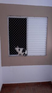 IMG-20190318-WA0017