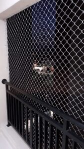 IMG-20200524-WA0003