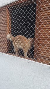 IMG-20200524-WA0052