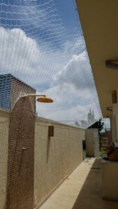 IMG-20200719-WA0002