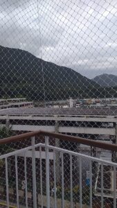 IMG-20210206-WA0020