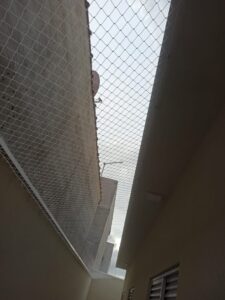 WhatsApp Image 2025-06-04 at 14.43.06 - Copia